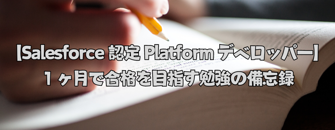 【Salesforce 認定 Platform デベロッパー】１ヶ月で合格を目指す勉強の備忘録　vol.1