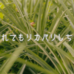 【ライフハック】習慣が途切れてもリカバリしちゃえばいい